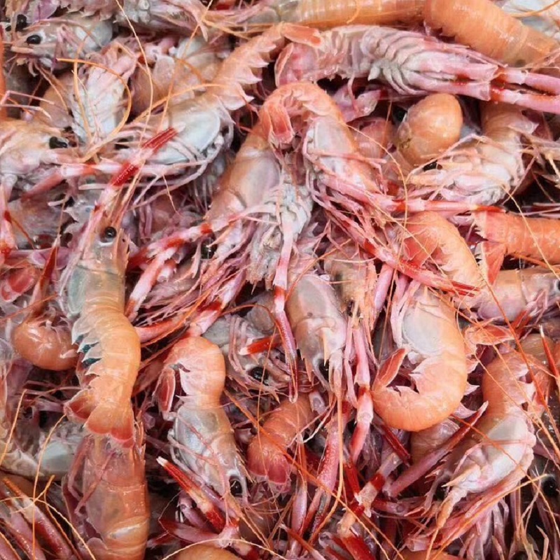 舟山东海水产鳌虾深海海熬虾新鲜船冻一斤18-20个冻虾