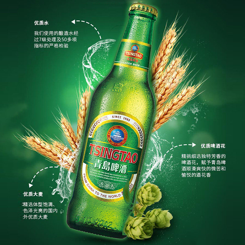 经典青岛啤酒11度330ml24瓶装箱青啤整箱啤酒