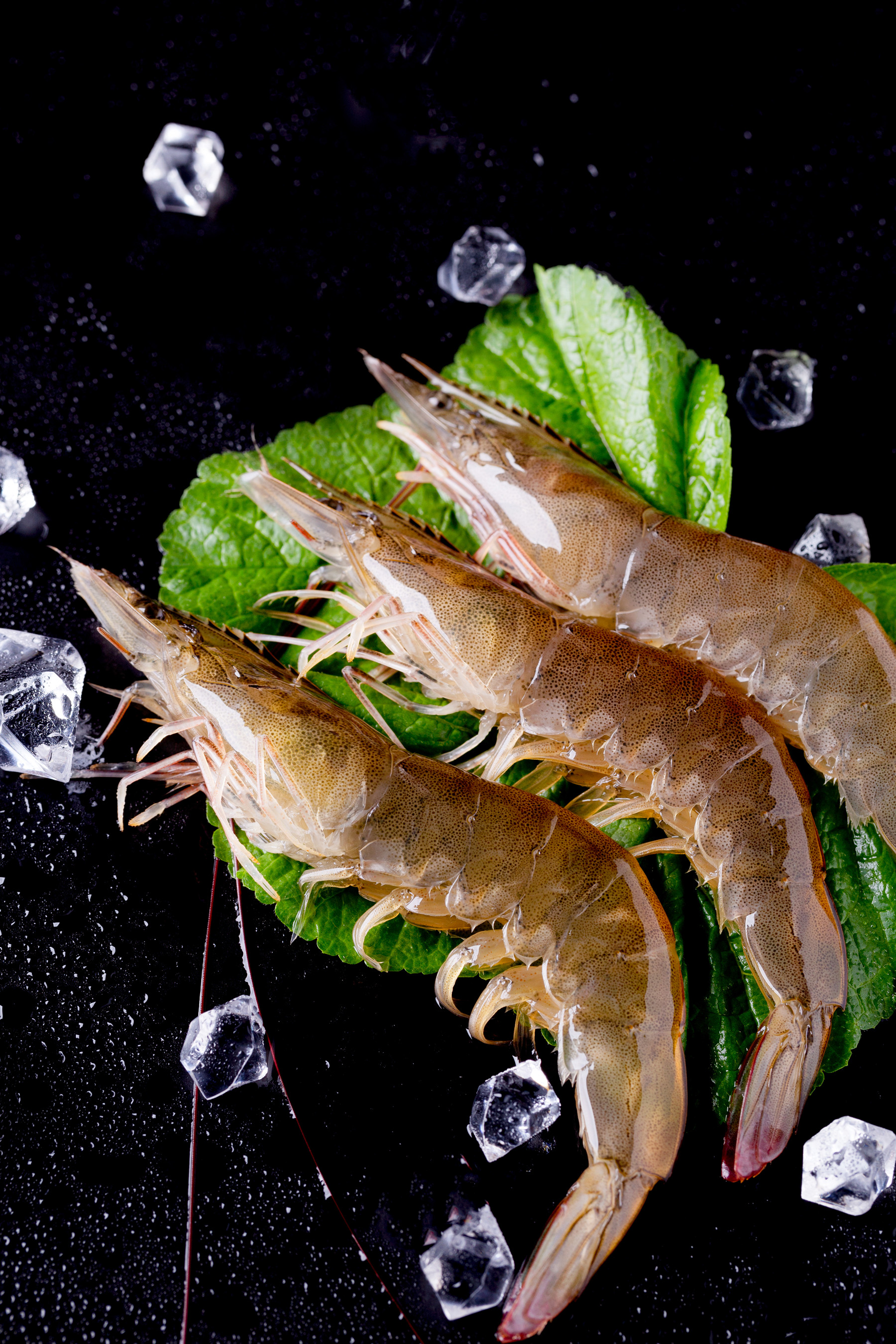 鲜活大虾海鲜水产超大活虾对虾海虾青虾白虾福建野生海水大虾包邮