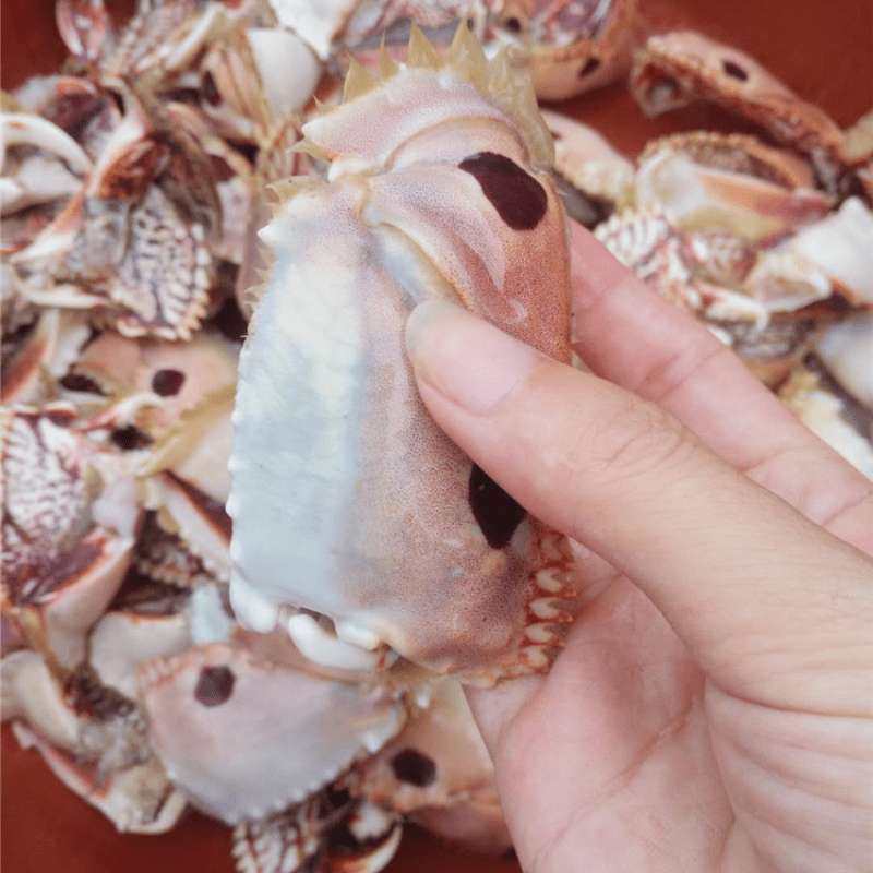 蟹钳元宝面包蟹脚虎纹野生鲜活冷冻海鲜螃蟹蟹类制品