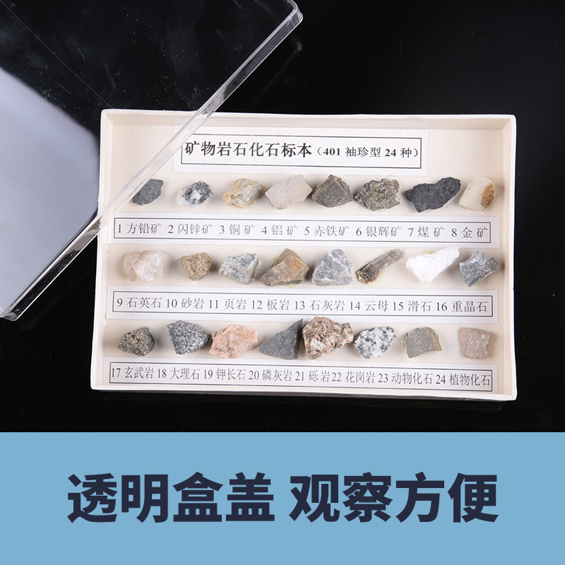 岩石矿物化石标本24种实验常用认识教学仪器展示教学仪器