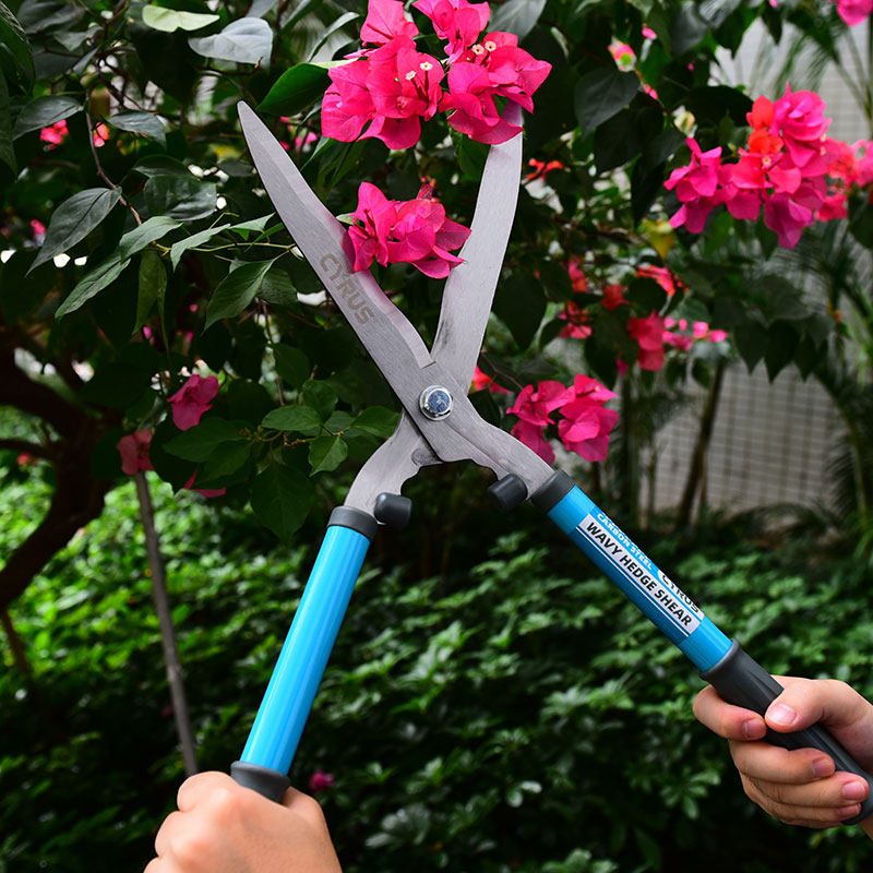 剪草园艺大剪刀园林修草修剪树枝草坪花草植物剪刀