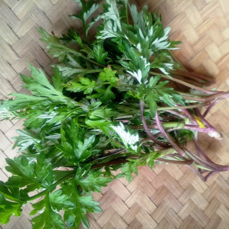 新鲜蒿子1000g湖南农村特产野生青艾蒿草diy自制蒿子粑粑青团食材
