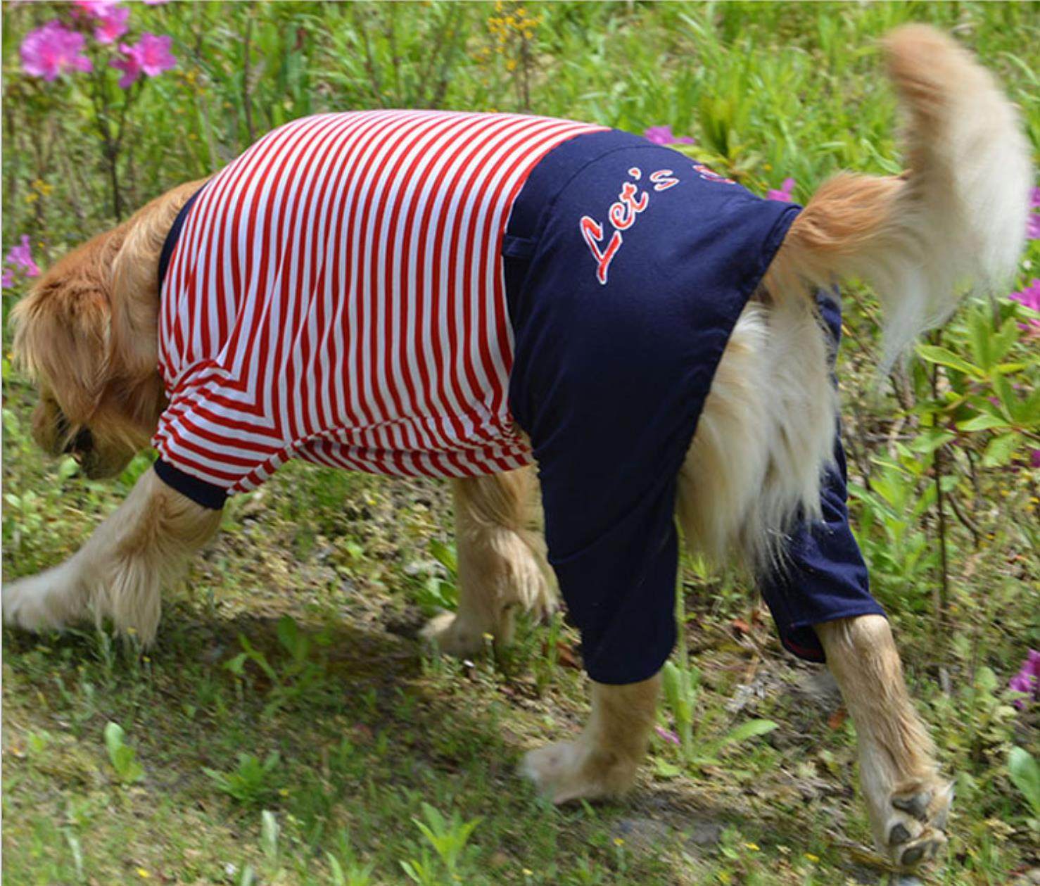 狗狗四脚连体衣宠物秋冬冬装大型打底衣金毛边狗宠物服装