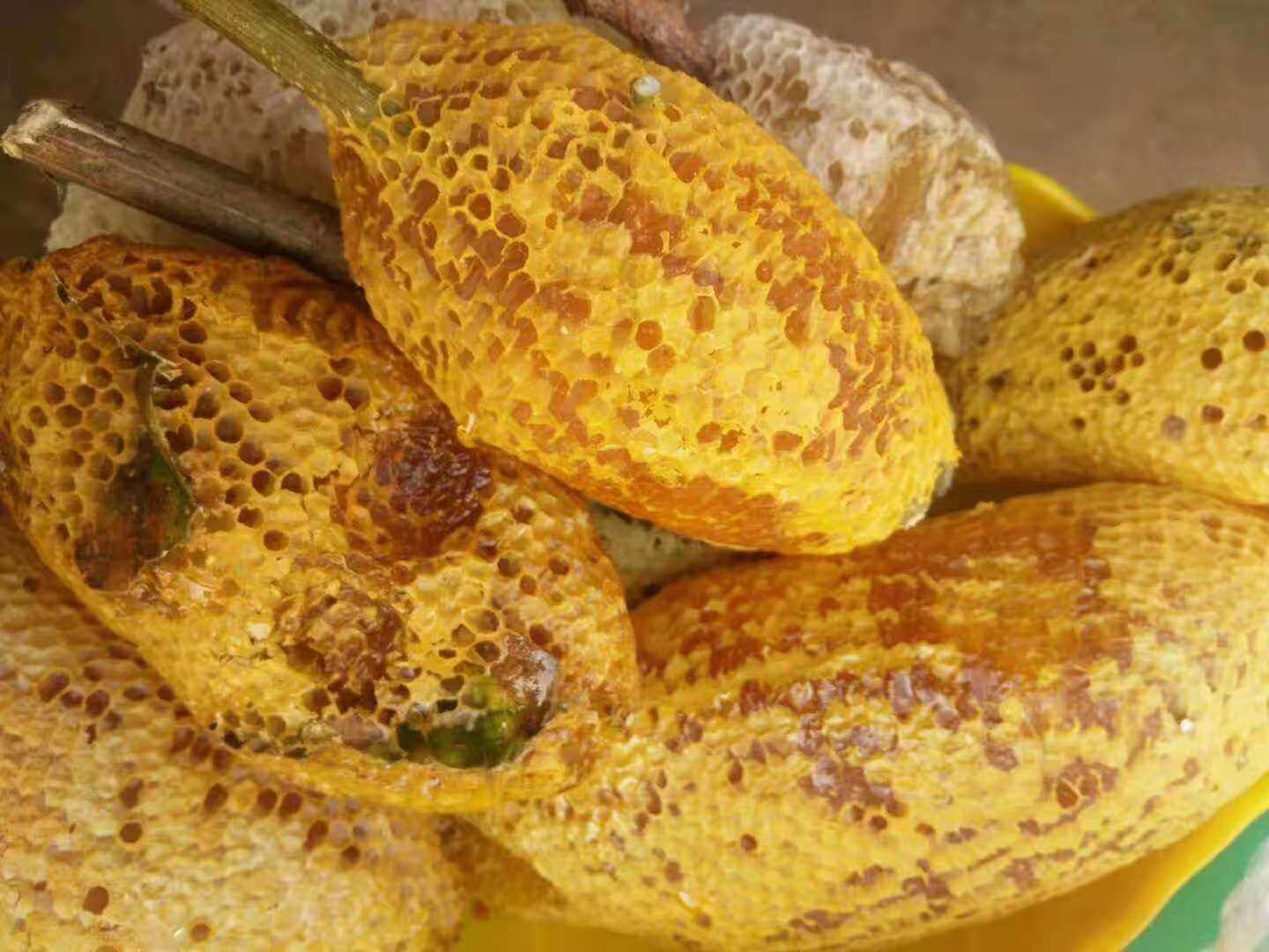 蜂巢蜜缅甸云南野生小挂蜜小排蜂蜜纯天然百花蜜500克包邮