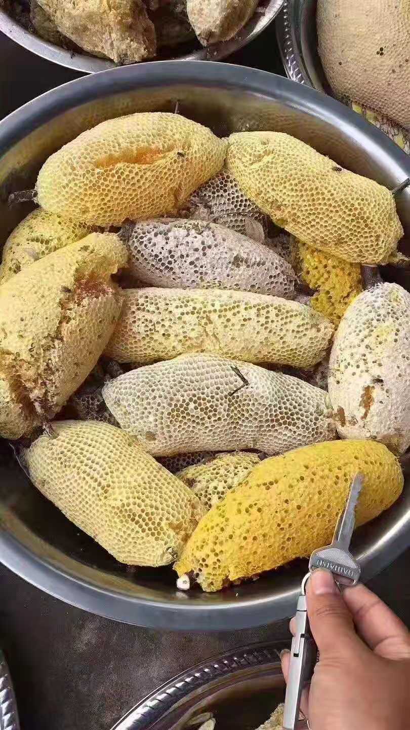 蜂巢蜜缅甸云南野生小挂蜜小排蜂蜜纯天然百花蜜500克包邮