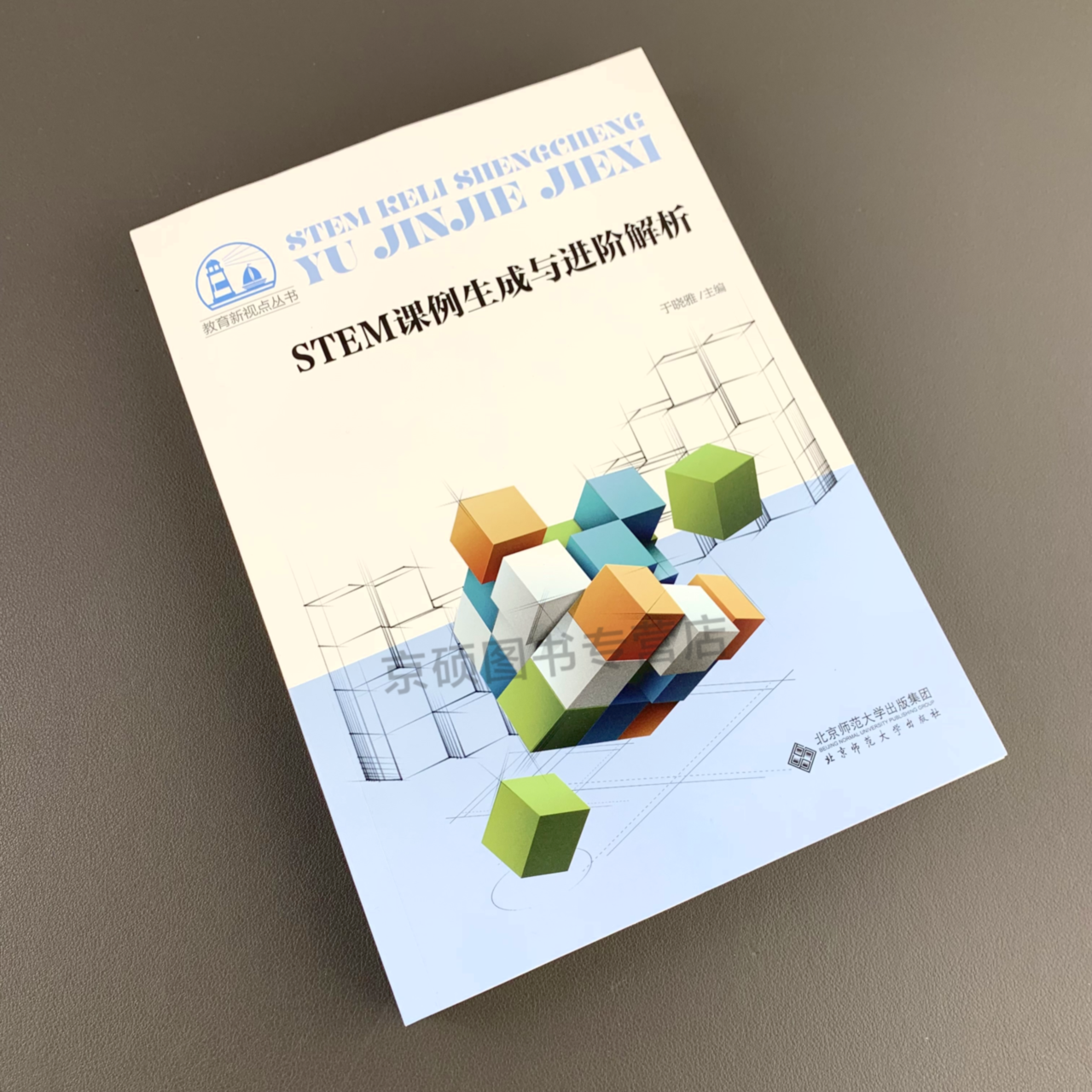 于晓雅师范大学北京丛书新视点教育主编解析全新进阶教育