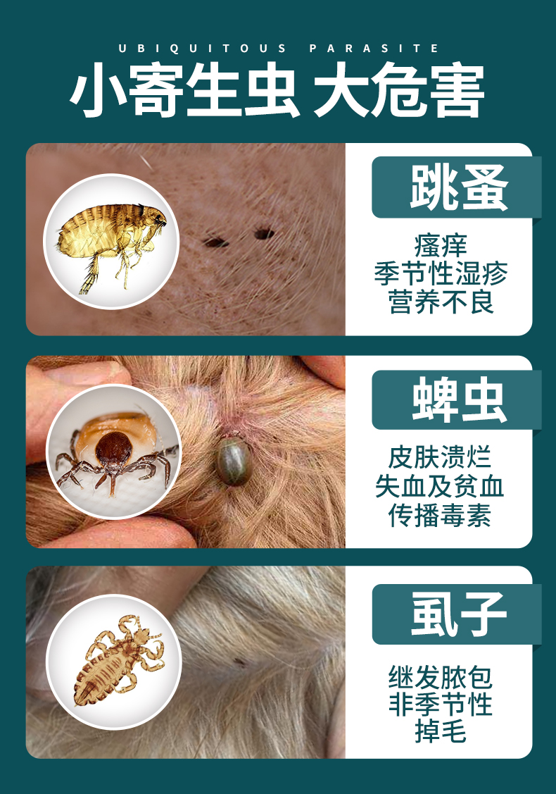 雷米高3支虱子跳蚤蜱虫狗狗宠物泰迪金毛滴剂皮肤喷剂