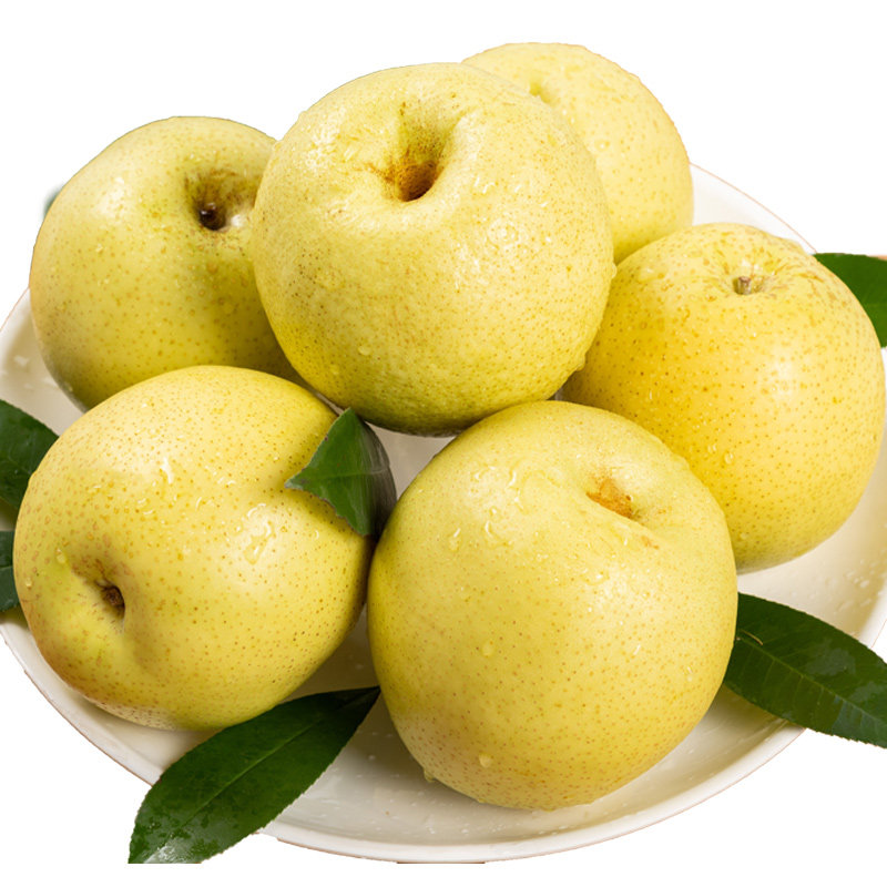 雪梨水果新鲜雪花梨赵县整箱梨子10斤河北特产当季包邮酥梨砀山梨