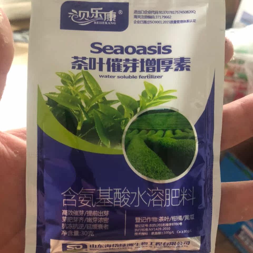 增产茶叶专用专用肥肥料催芽催进发芽提前上市叶面肥
