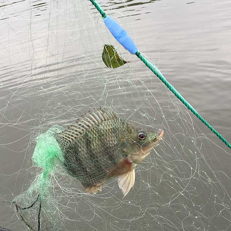 鱼网爱渔人粘网三层渔网丝网网捕鲫鱼沉网浮网鱼网