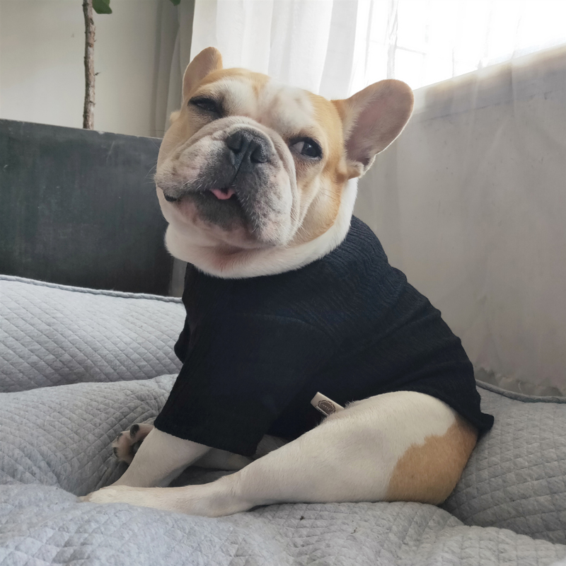 衣服一只全球宠物服装泰迪法斗恶霸猫猫秋冬宠物服装