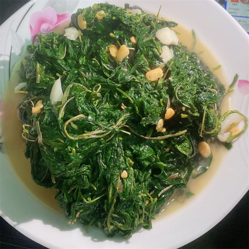 麻叶红麻潮汕潮阳特产蔬菜半成品精选新鲜特制叶菜类