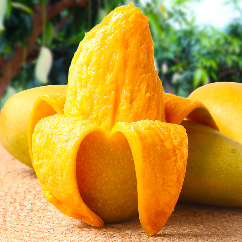 孕妇甜心水果新鲜季新鲜顺丰包邮应8斤芒果金煌芒果