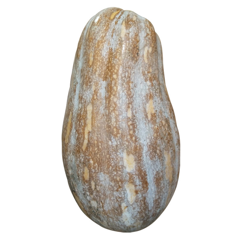 南瓜广西当季新鲜甜糯品种宝宝辅食农家种植南瓜