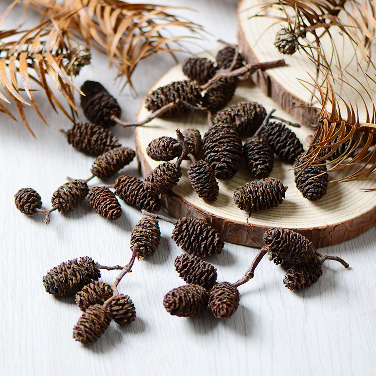 材料塔松原生态植物干果果实创意手工干花花环干花