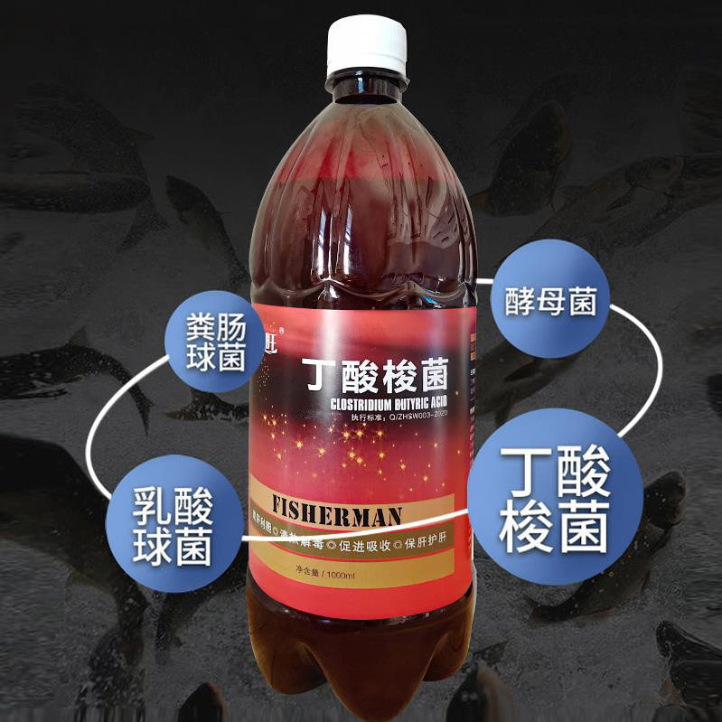 丁酸梭菌水产养殖em菌液鱼塘虾蟹调节肠道拖白其他益生菌
