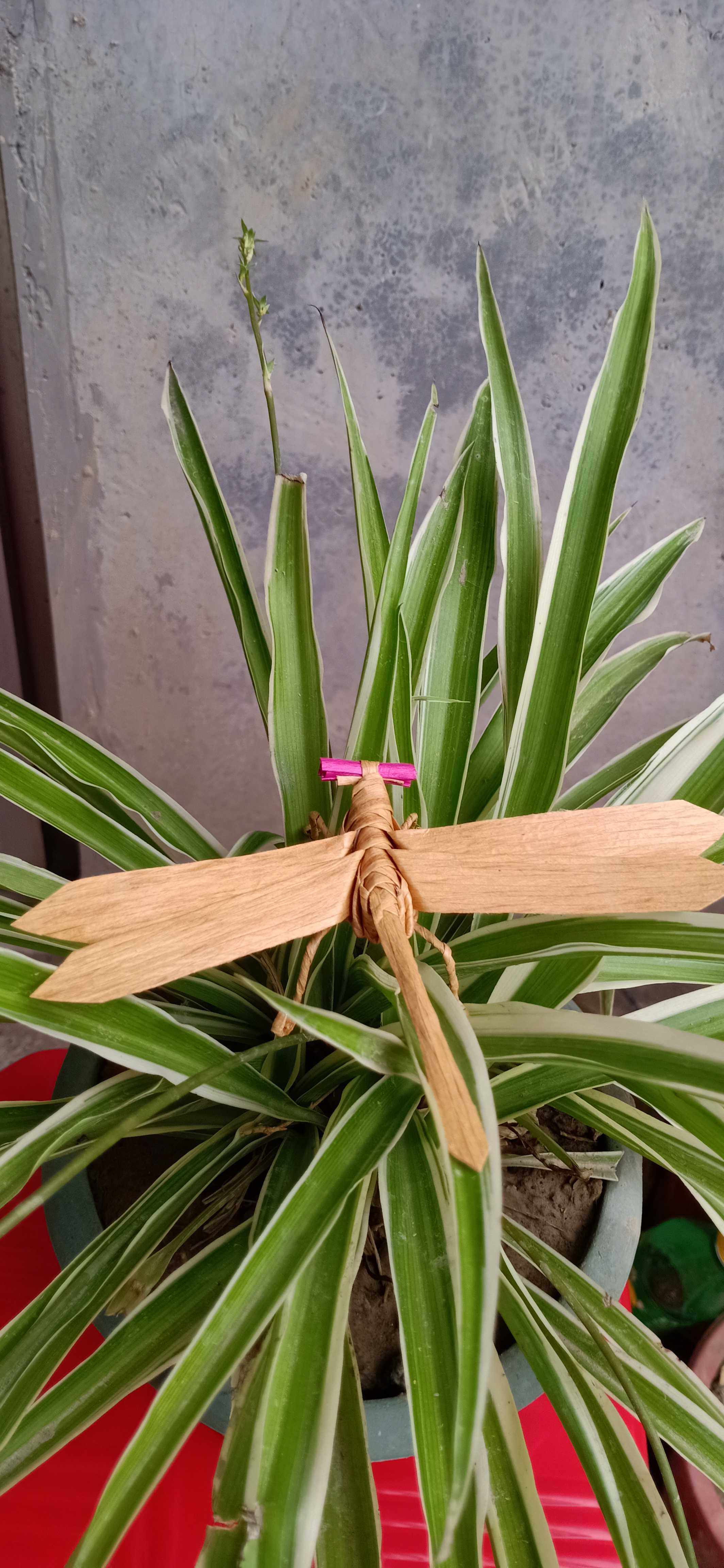 草编昆虫蜻蜓手工艺dlv儿童玩具创意摆件民间编制摆件