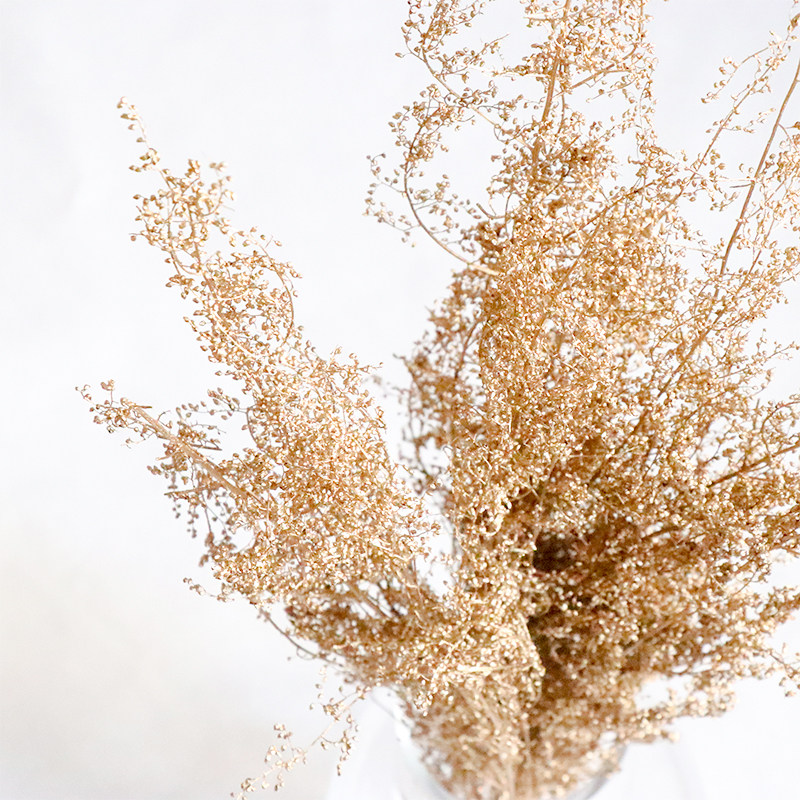 星星草龙洒草永生花diy材料满天星干花小花花束金色永生花