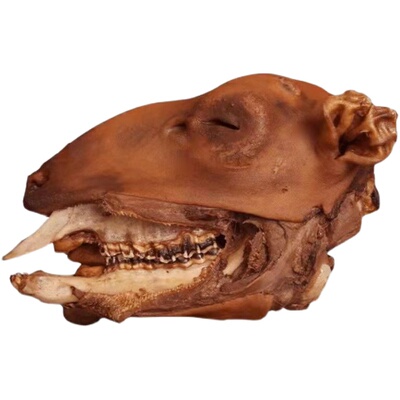 熟羊头整只羊头开袋即食内蒙古散养草地羔羊灭菌羊头肉全熟卤羊头售价