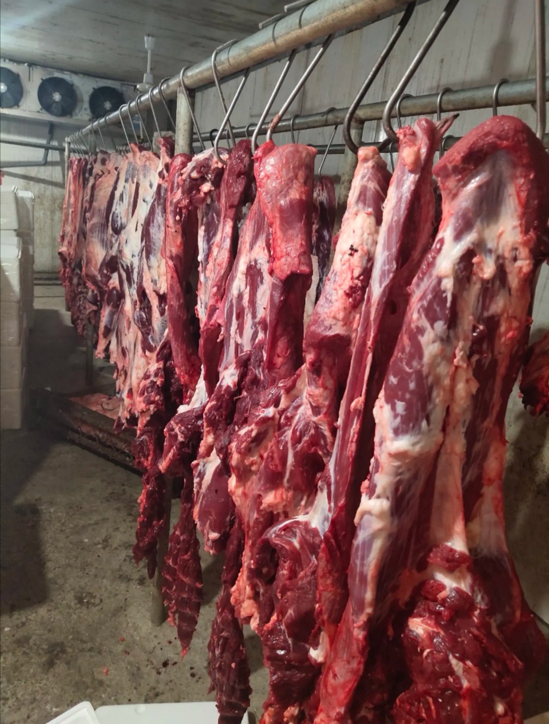 内蒙古新鲜牛肉4斤生牛肉现杀无注水健身原切非调理黄牛前后腿肉4