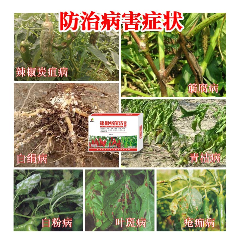 辣椒专用用药杀菌剂炭疽病霉病疫病灰霉病毒白粉杀菌剂