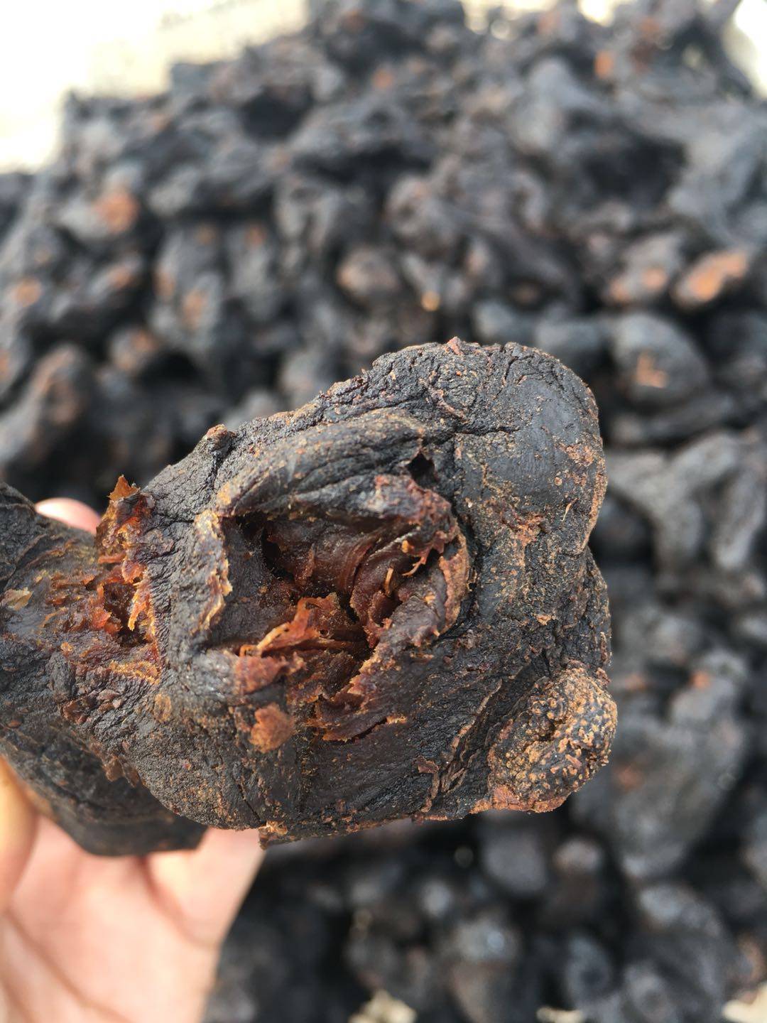 九华禅珍辟谷九蒸九晒九华山地藏黄精野生包邮 250g特级同仁堂