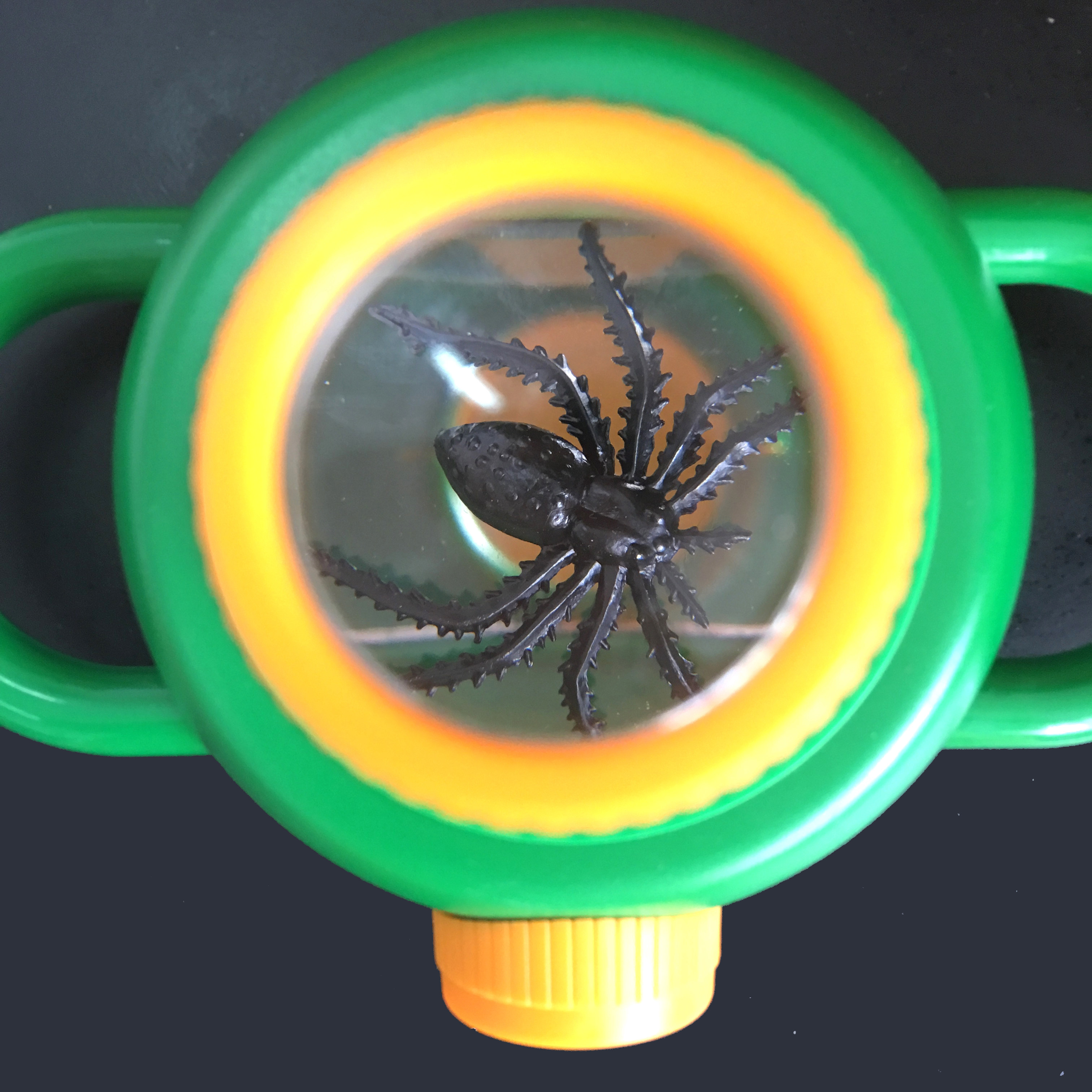 双向昆虫观察器 放大镜儿童科学实验观察 益智学习观察玩具带昆虫