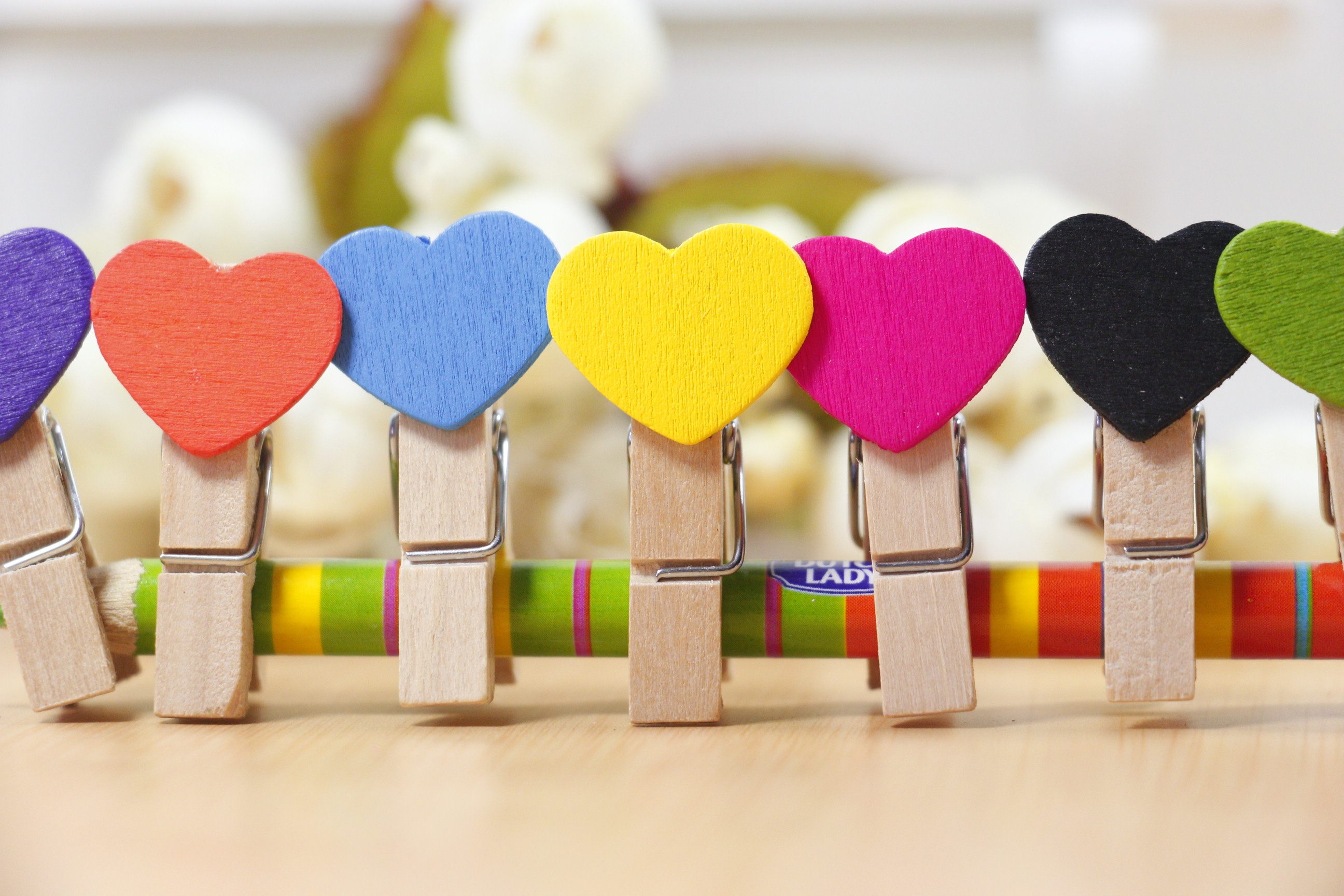 包邮照片夹相片夹小木夹木制小夹子 彩色爱心收纳夹子3.5夹子