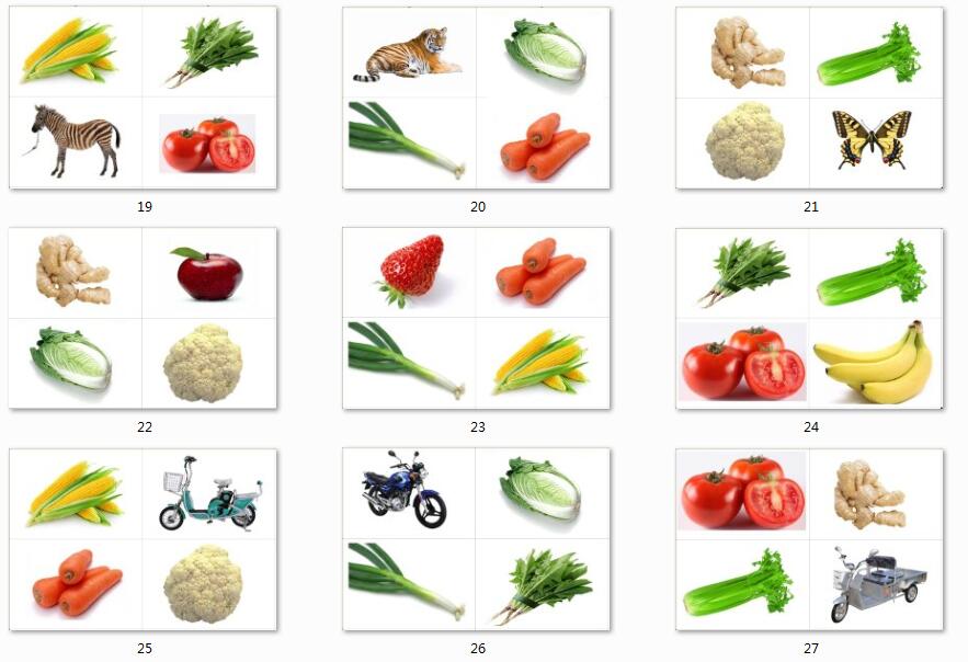 找不同类早教认知卡片自闭症康复训练语言发育玩具挂图