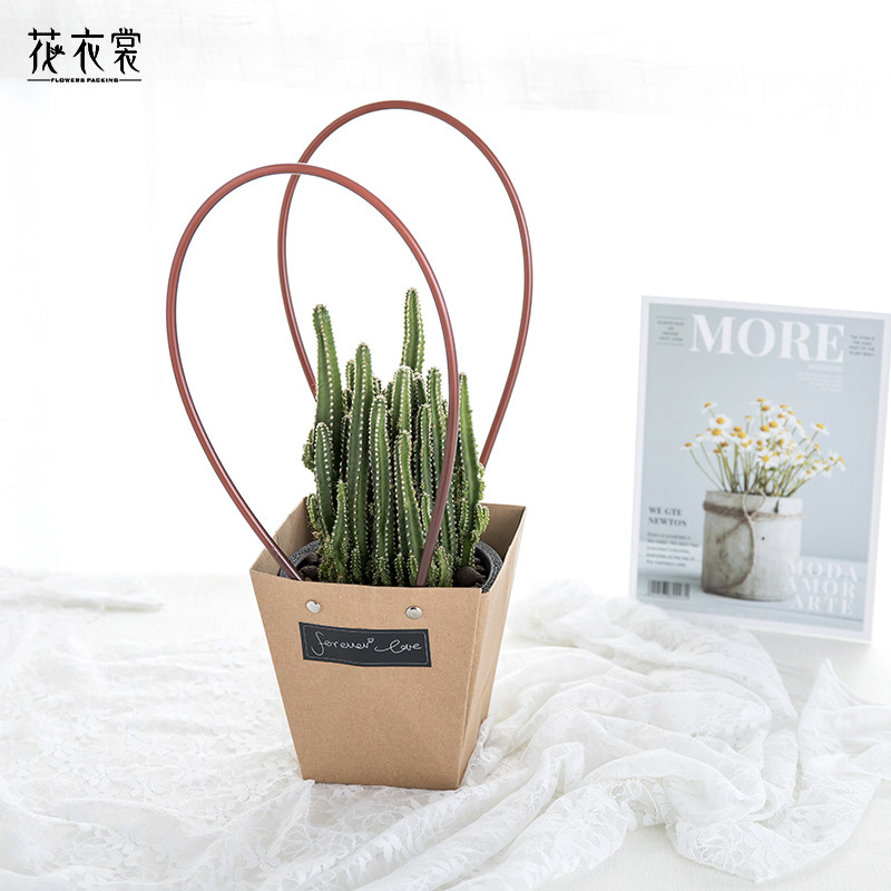 花衣衣裳防水牛皮手提袋纸袋鲜花袋多绿植盆栽花艺包装盒