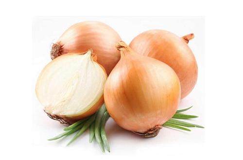新鲜洋葱2020新货有机黄洋葱黄皮蔬菜黄圆葱头葱类