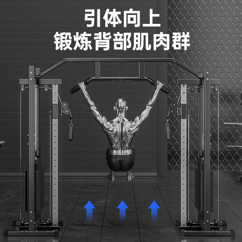 大飞飞鸟龙门架家用多功能健身器材十字夹胸力量综合力量训练器械