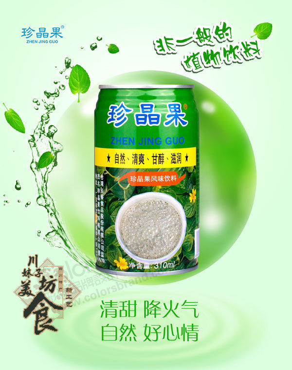 饮料珍晶包邮明列子风味台湾310ml清爽滋润24罐果味