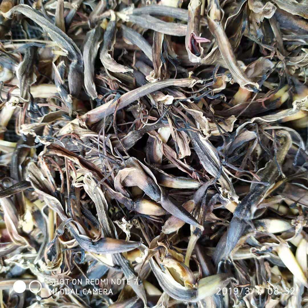 香蕉晒干新鲜花蕊芭蕉花蕾药用自然野生花瓣香蕉