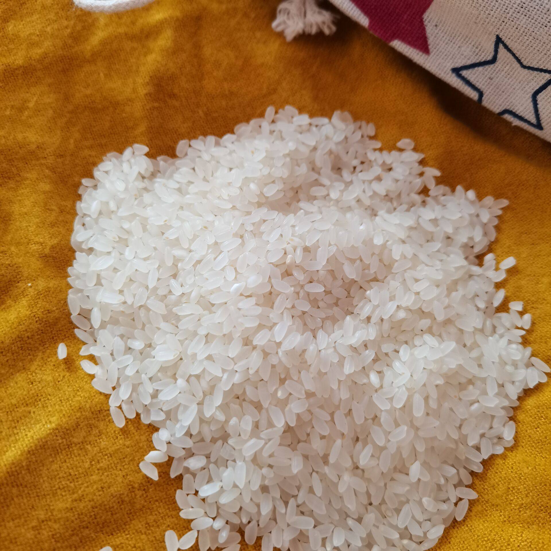 大米新疆阿克苏天山雪米温宿2021新米长粒10斤大米