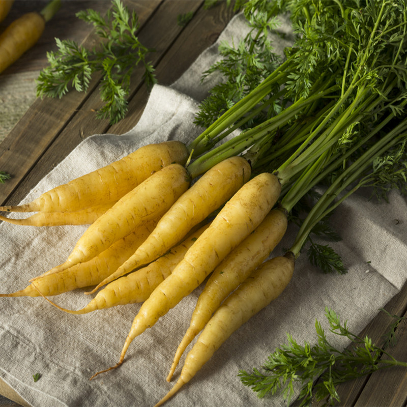 彩色小萝卜500g新鲜紫色黄色三色即食摆盘水果其它