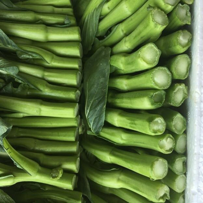 新鲜宁夏菜心500g正宗菜苔时令蔬菜供港菜王小青菜水白菜花