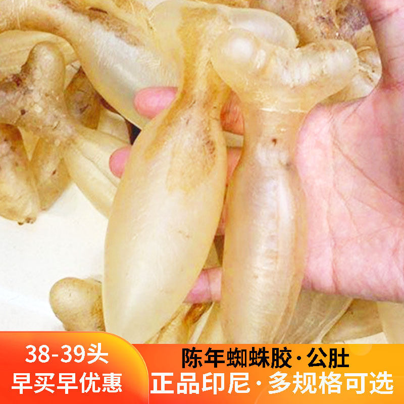 印尼蜘蛛胶公50头40头母肚鱼胶野生干货孕妇花胶