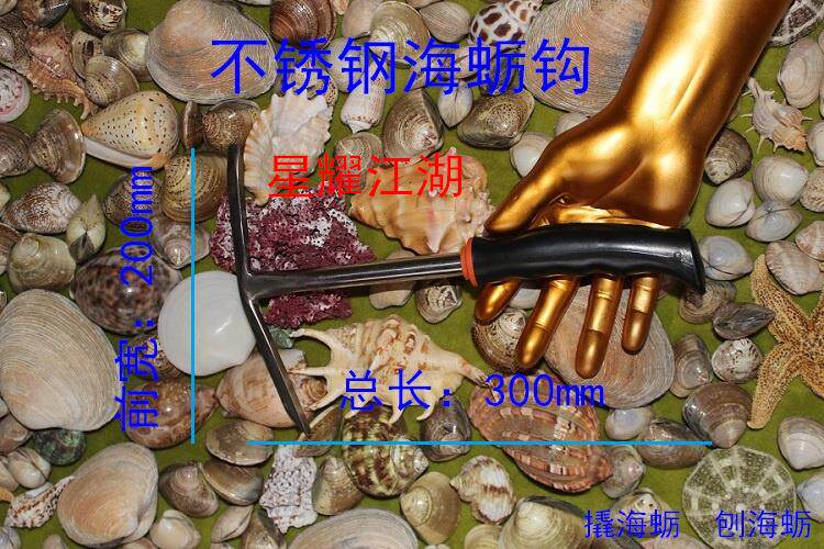 不锈钢佛手螺铲石鳖铲钩子赶海工具蛎钩螃蟹铲子