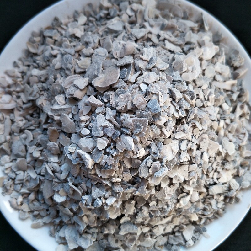 牡蛎 煅牡蛎 中药材生牡蛎 500g 牡蛎壳粉可磨牡蛎粉 蛎蛤 牡蛤