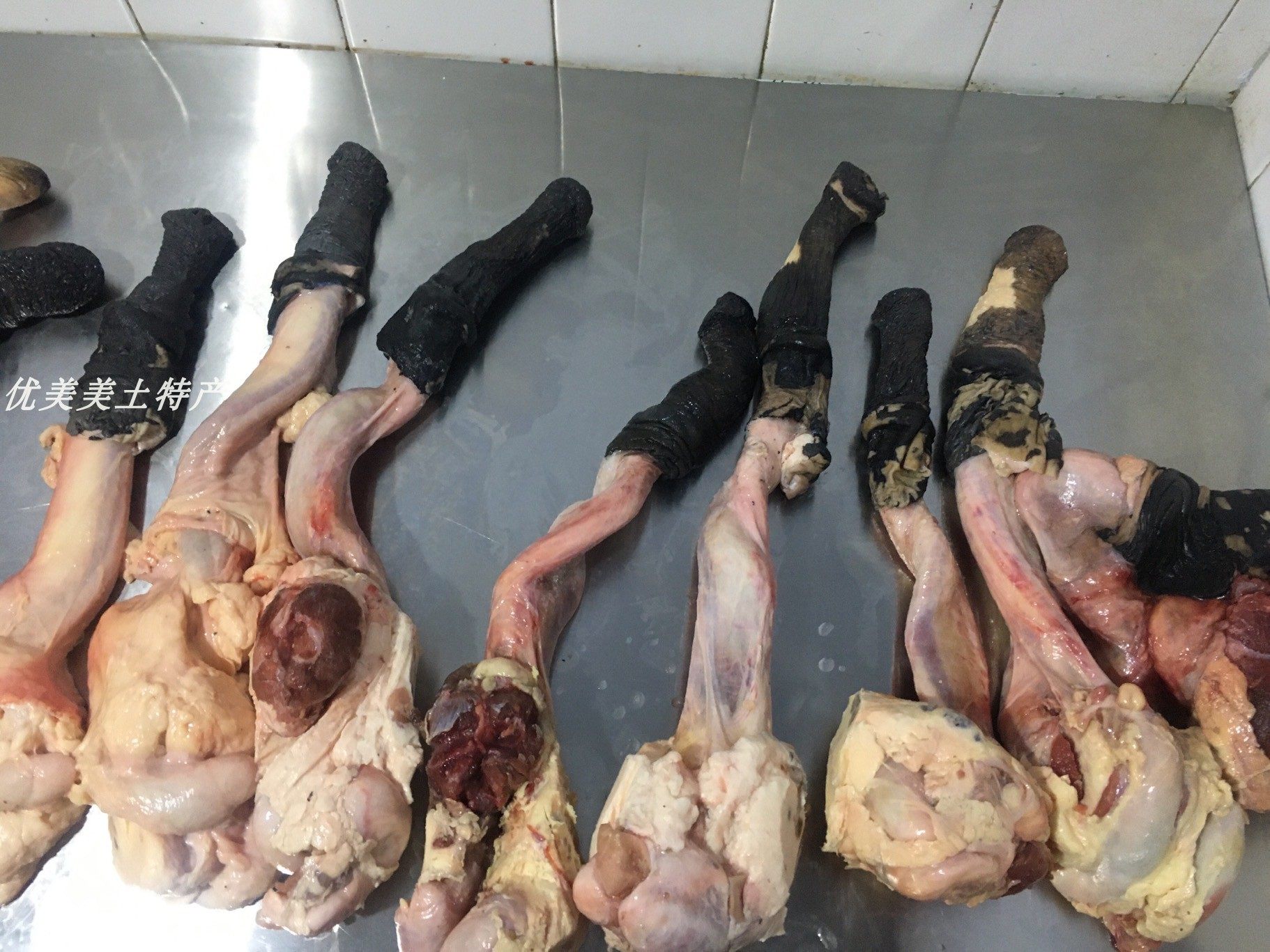 驴鞭新鲜睾丸1-5斤宝生金钱肉驴腰子驴肉