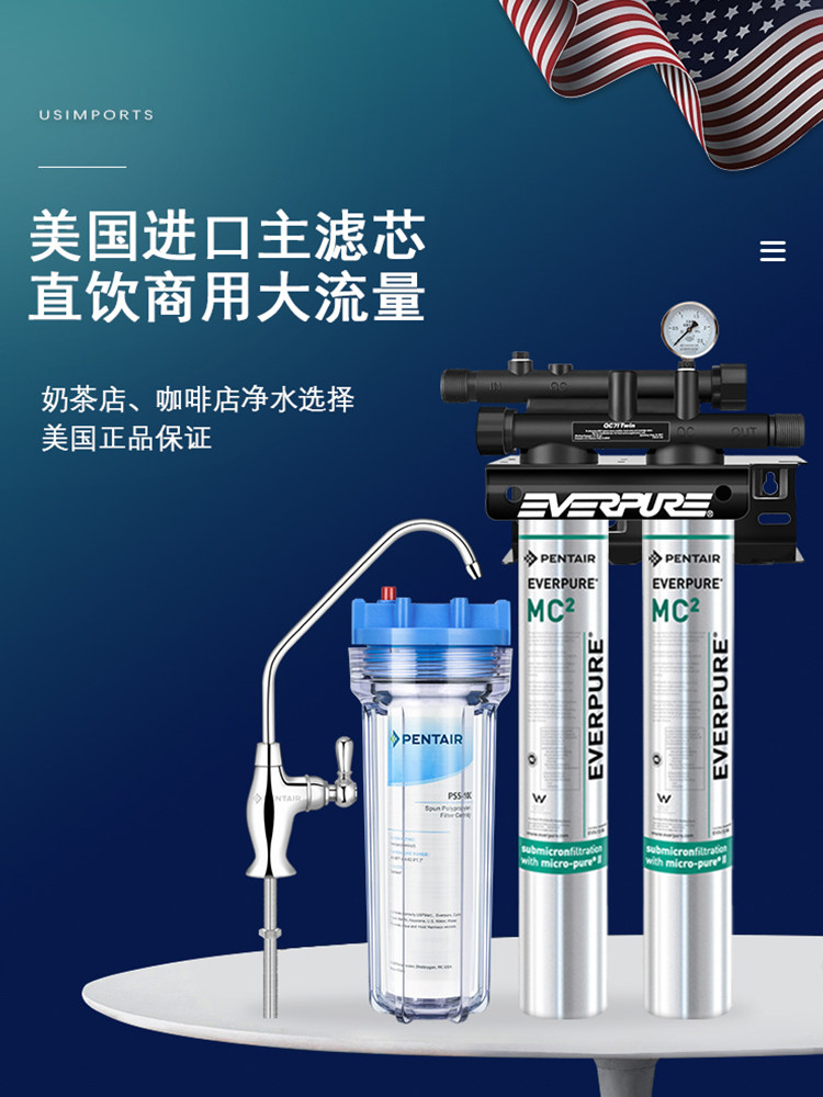 爱惠浦mc2双联净水过滤器奶茶店直饮商用大流量超滤机星巴克咖啡