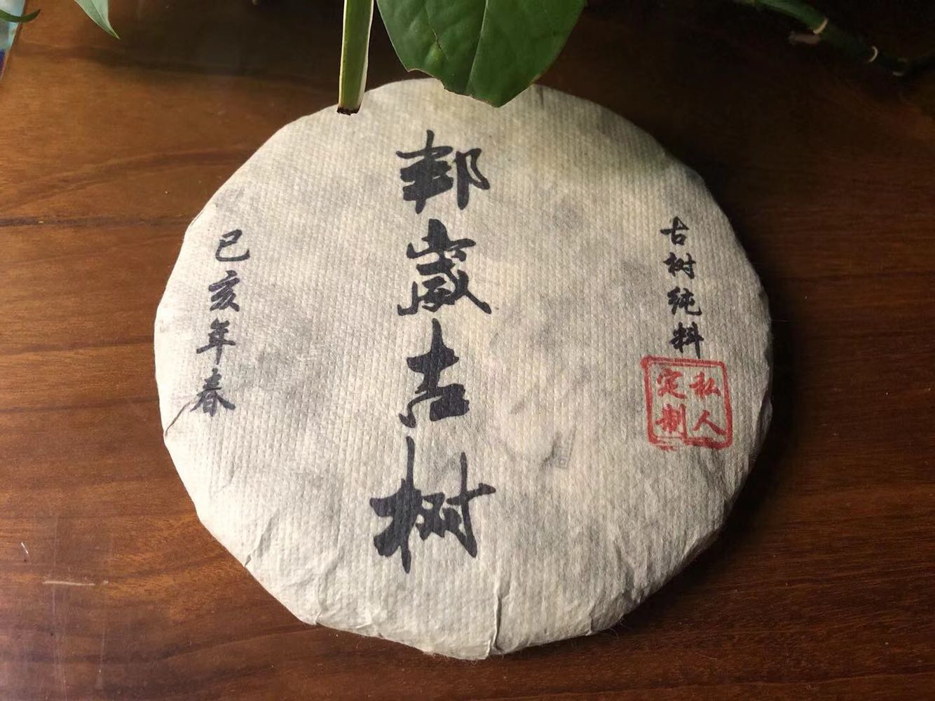 古树2019年邦崴头春纯料生普洱茶邦威春茶定制200克饼普洱