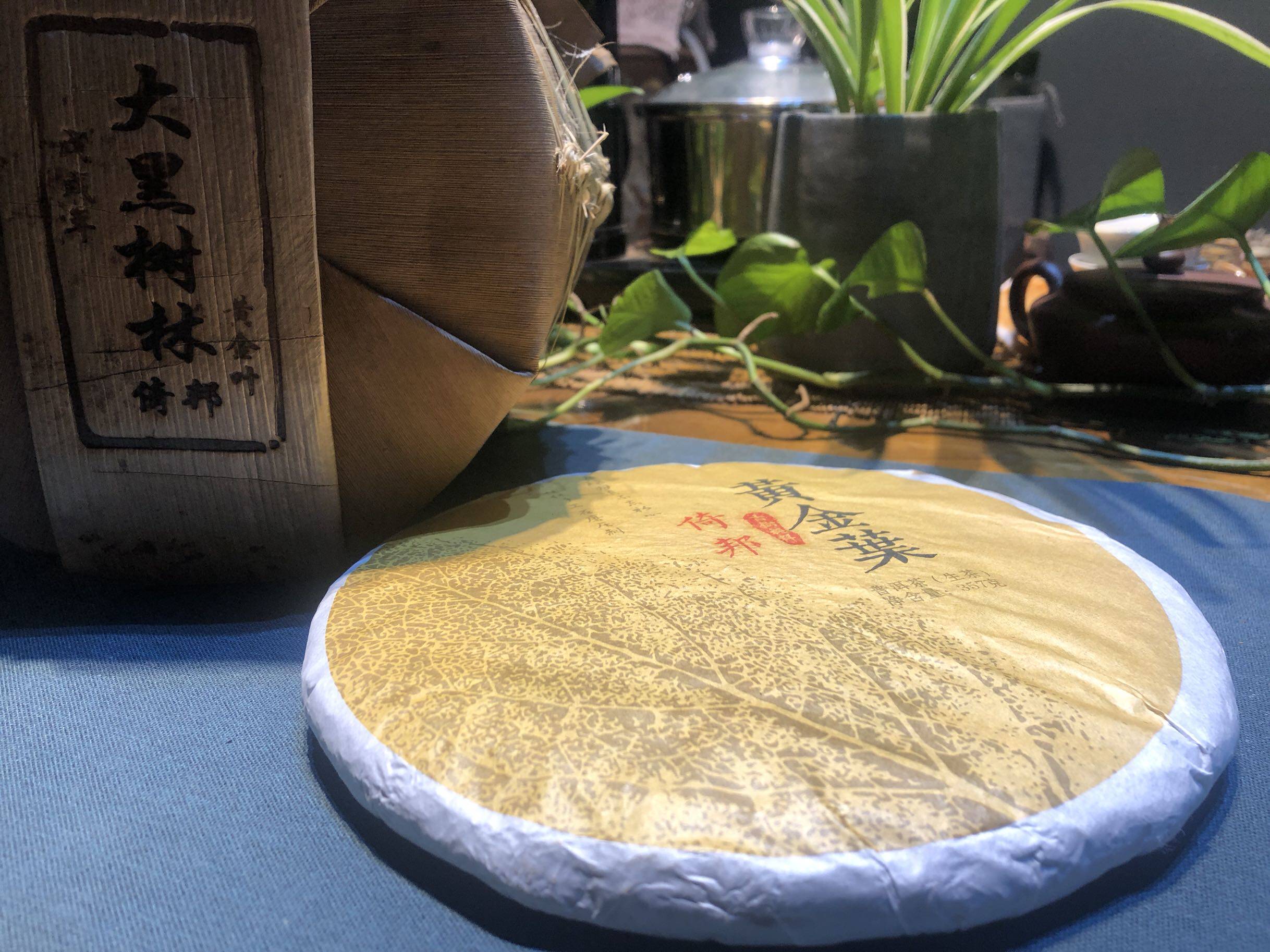 倚邦古树云南普洱茶大黑树林黄金叶金叶老黄黄片普洱