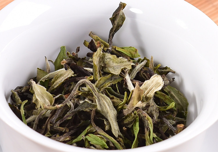 鱼叶2019年寿眉清明前头春寿银针嫩叶政和白茶寿眉