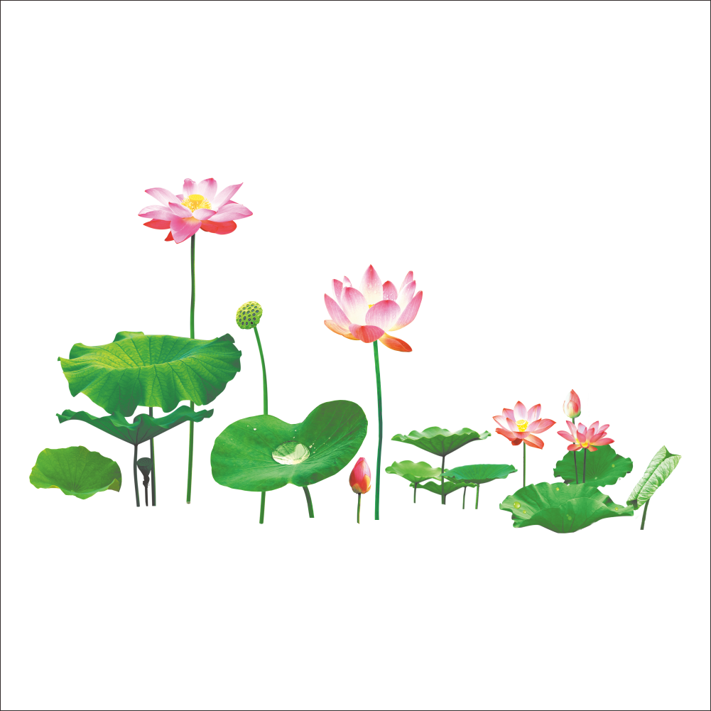 墙贴温馨立体荷花防水壁纸自粘墙纸卧室客厅背景墙装饰画贴画贴纸