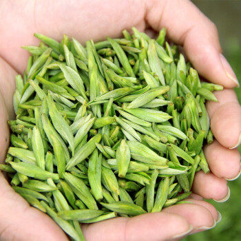 高山雀特级2021茶叶川雀四川春茶单芽顶山绿茶其它绿茶