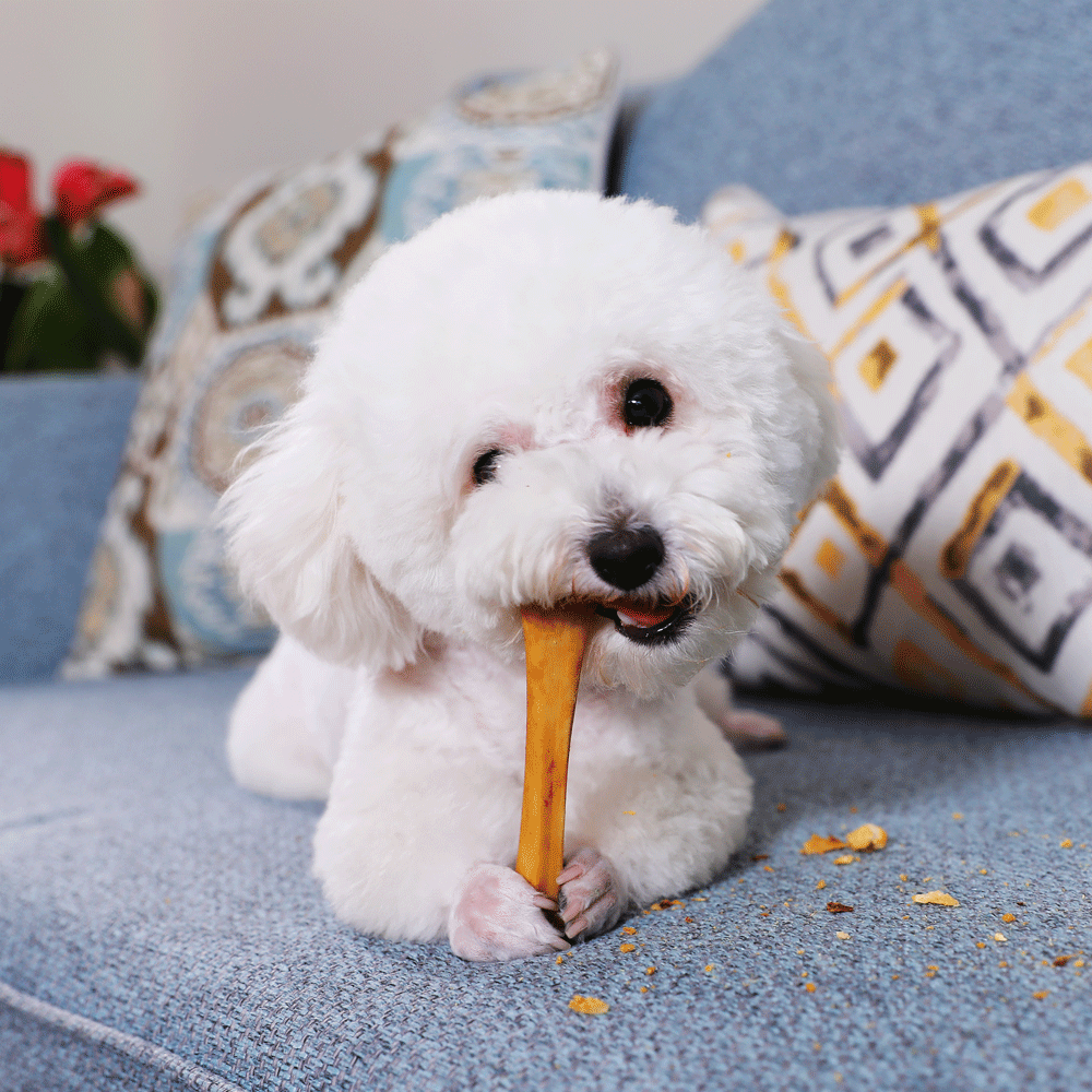 华元宠物狗磨牙棒耐咬奶香羊泰迪博美小型犬洁狗风干零食