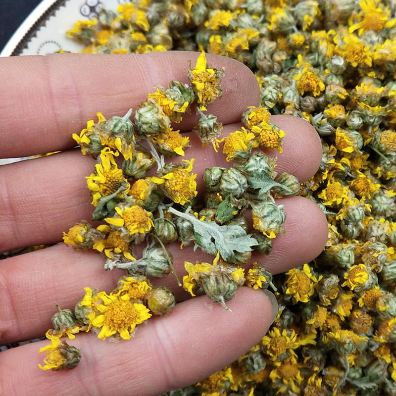 野菊花250g野菊花茶野生特级胎菊正品小干米菊其他药食同源食品